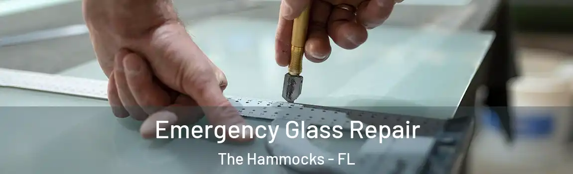  Emergency Glass Repair The Hammocks - FL