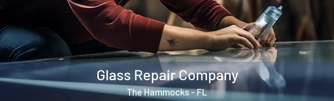  Glass Repair Company The Hammocks - FL