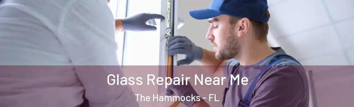  Glass Repair Near Me The Hammocks - FL