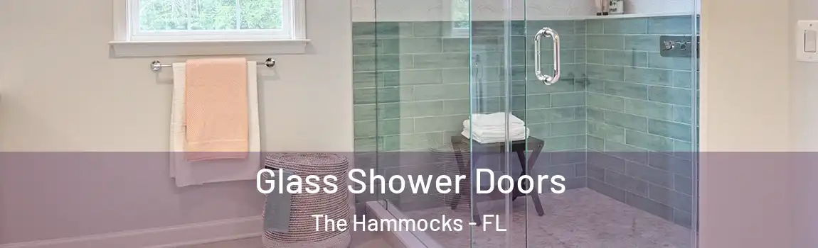  Glass Shower Doors The Hammocks - FL