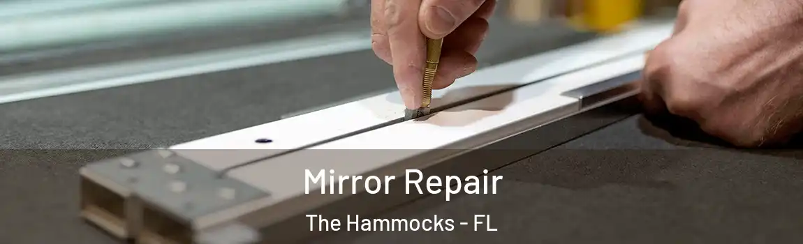 Mirror Repair The Hammocks - FL
