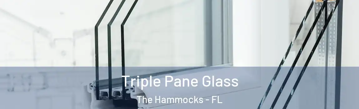  Triple Pane Glass The Hammocks - FL
