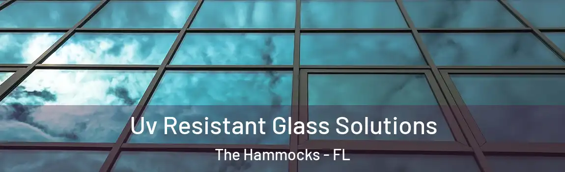  Uv Resistant Glass Solutions The Hammocks - FL
