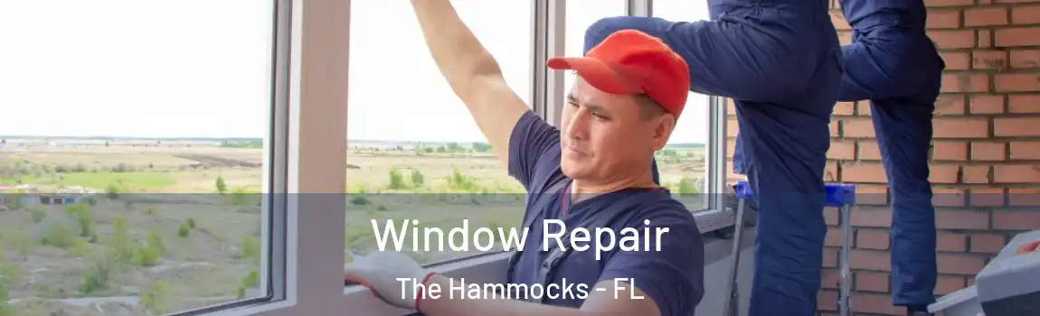  Window Repair The Hammocks - FL