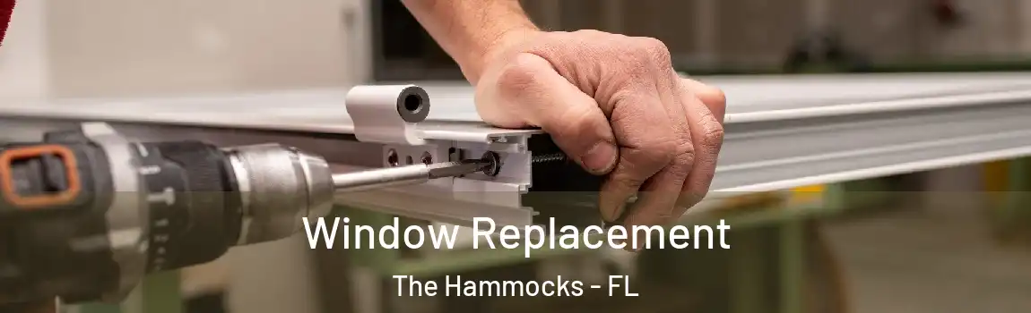 Window Replacement The Hammocks - FL